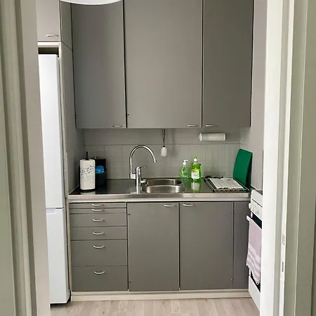 Huttu 1 - Ihqu Yksioe Loistavalla Sijainnilla Apartment *